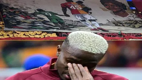 昨日精准出击，灰熊主场能否逆袭森林狼，复仇之战一触即发！